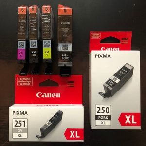 Canon 250/251 Ink Cartidge Set